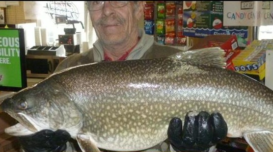 Morbidly Obese Lake Trout Breaks State Record