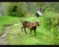 Goat Yelling For Bob – LOST FOOTAGE