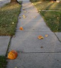 West Fargo Police Pumpkin Humper Arrested