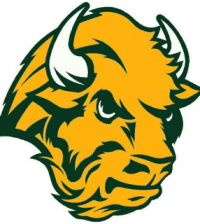 ndsu_bison_football