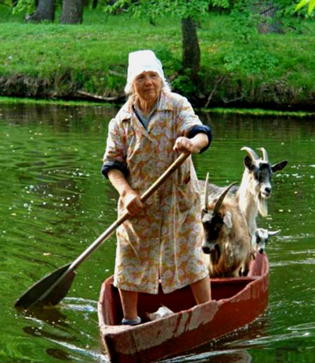 Goat-Boat Woman To Challenge The Mississippi