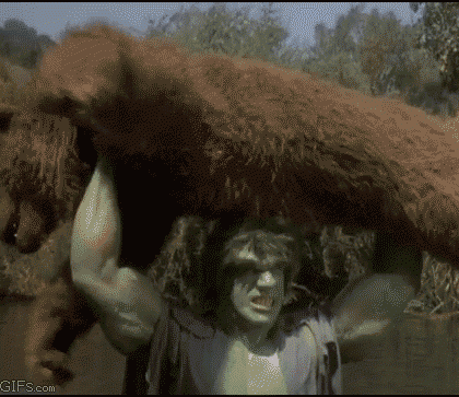 How to defend yourself against a bear.