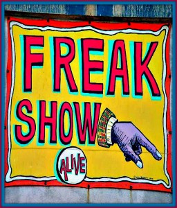 Come see the Freak Show for some indelible memories