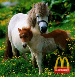 McDonald's new McHorse and McPony sandwiches