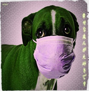 Is your dog sicker than a dog?
