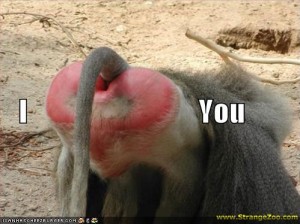 Funny-pictures-baboon-butt-heart