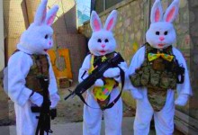 Feral Rabbits Being Readied To Secure Southern Border