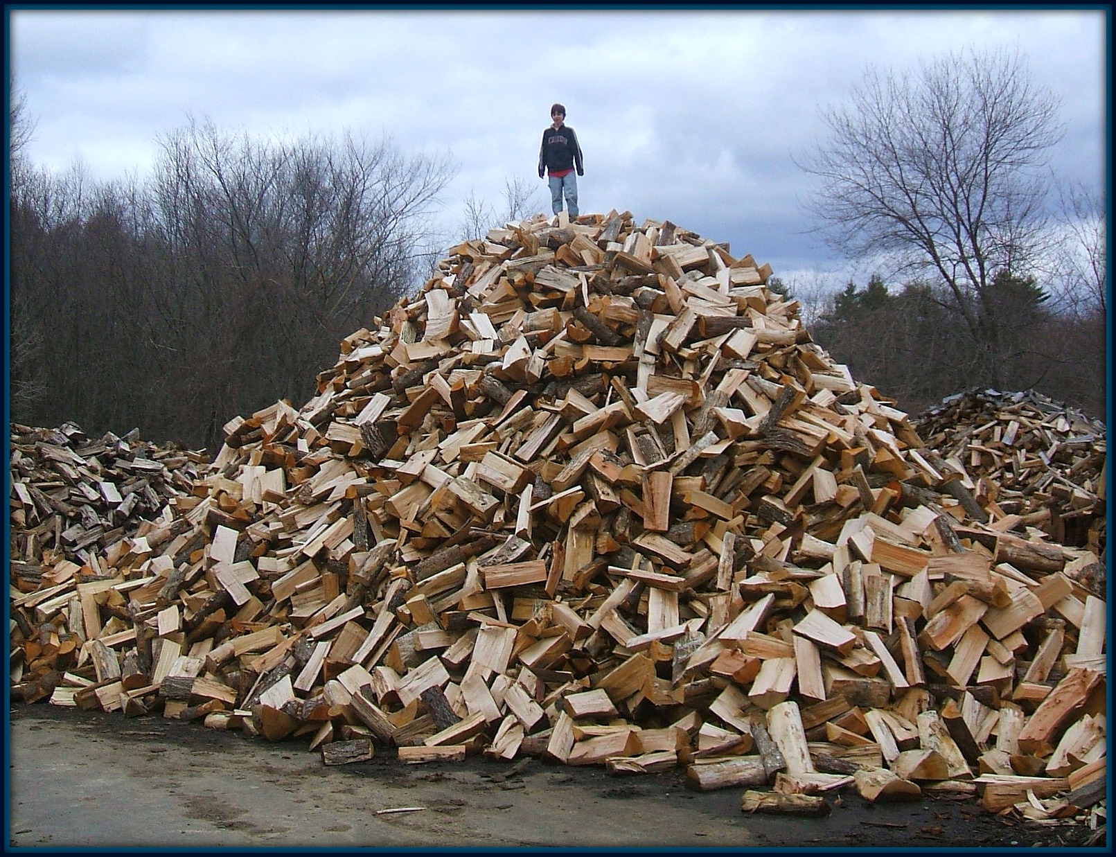 wood_pile12pm2.jpg