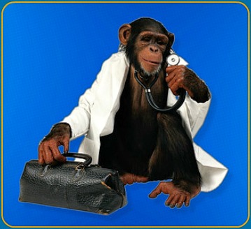 Dr.MonkeyPM1.jpg
